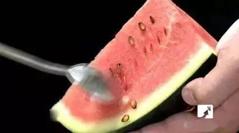 用牙签吃瓜,夏日清凉新体验 第3张 用牙签吃瓜,夏日清凉新体验 第3张